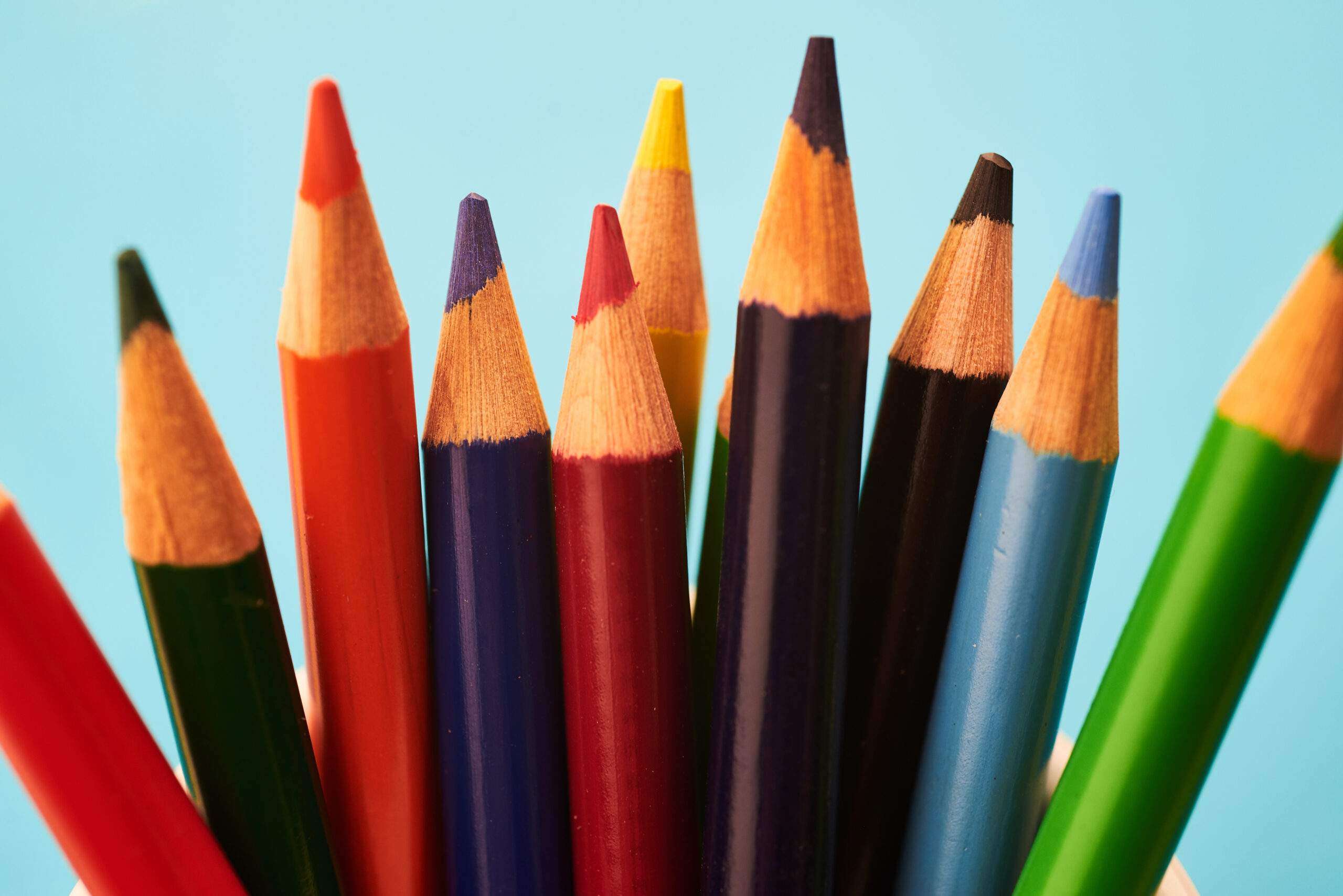 Crayons de couleurs des sites vitrines pour TPE